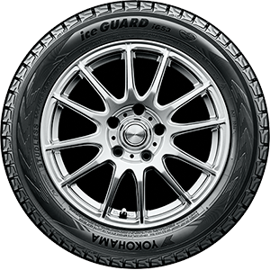 ICEGUARD IG53 tire